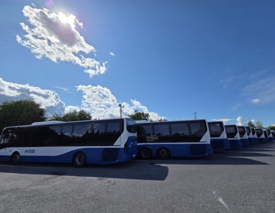 Tiedote: Tampereen Kaupunkiliikenne kilpailuttaa plusbussit – yhtiön käyttöön ainakin 22 bussia